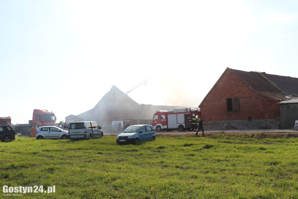 Pożar hali w Czeliścinie, gmin Pępowo