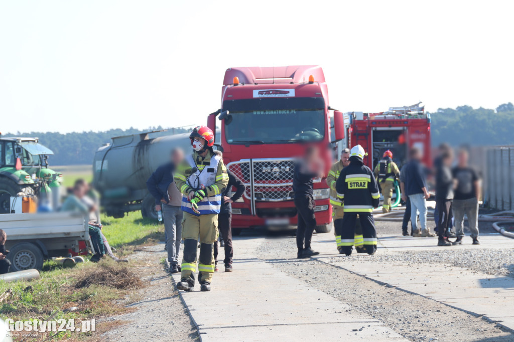 Pożar hali w Czeliścinie, gmin Pępowo