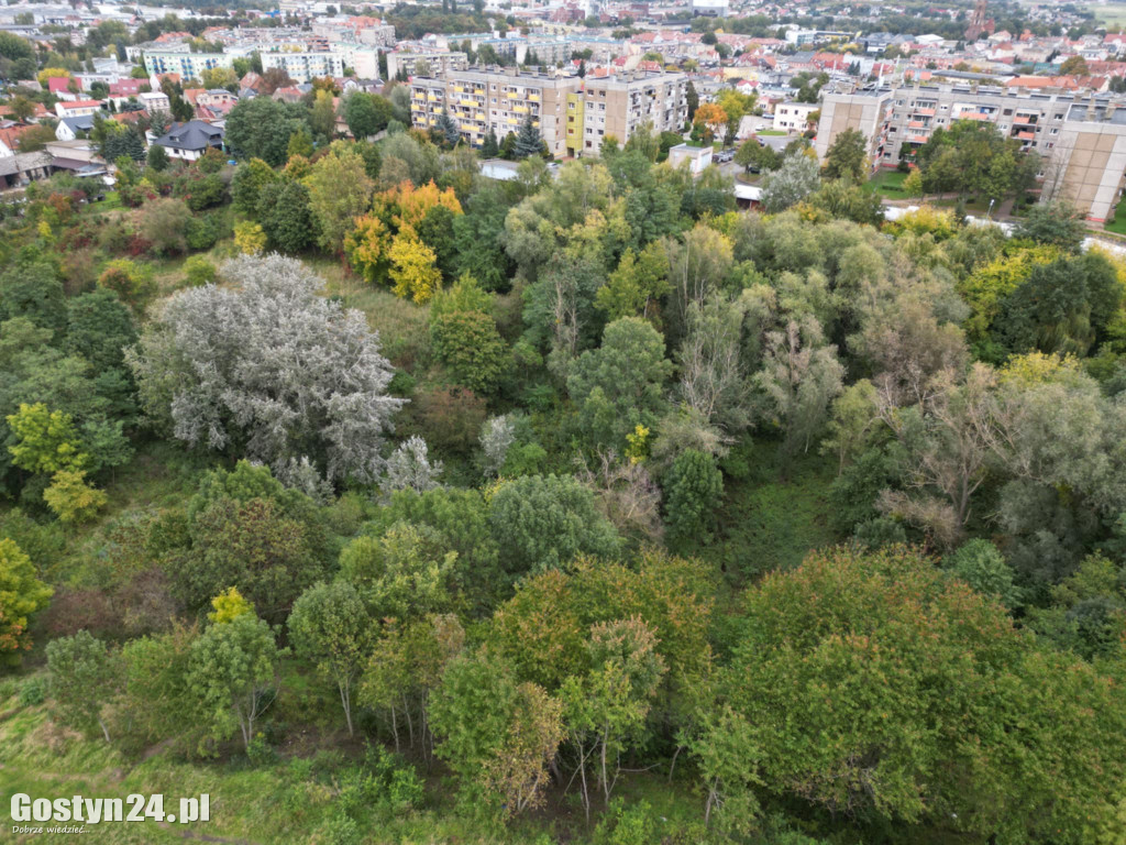 Zielona rewolucja na starej cegielni na Górnej