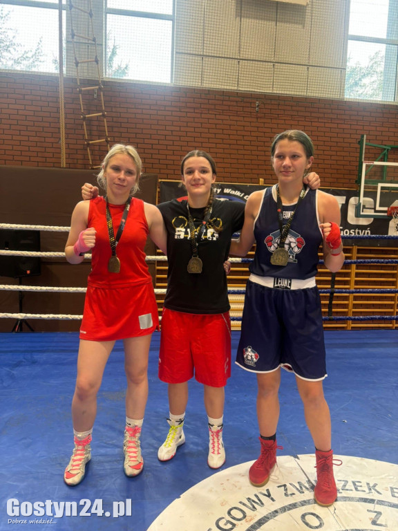 Gostyń Boxing Cup pokazał, że lokalny boks rośnie w siłę