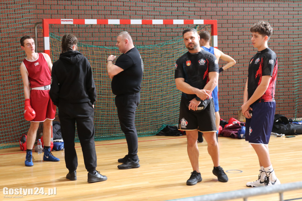 Gostyń Boxing Cup pokazał, że lokalny boks rośnie w siłę