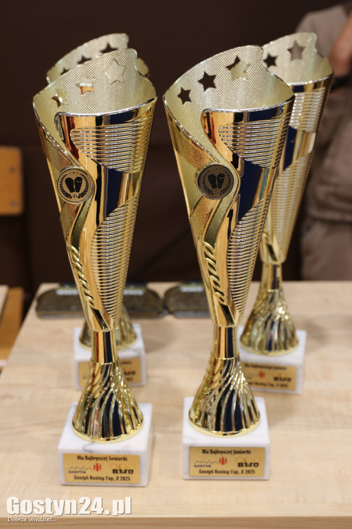Gostyń Boxing Cup pokazał, że lokalny boks rośnie w siłę