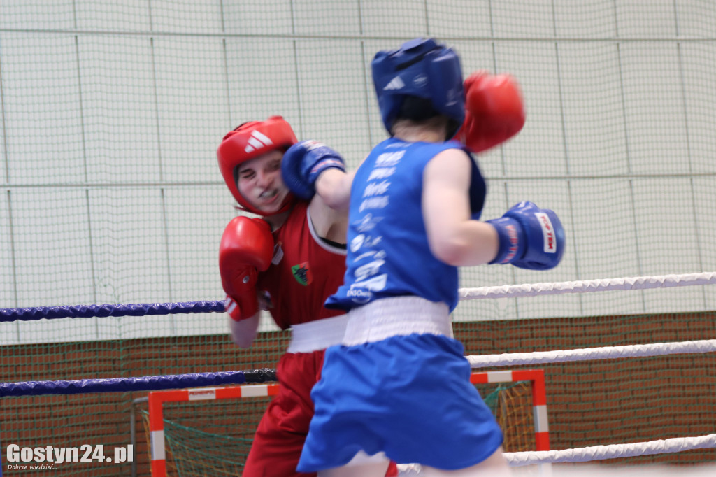 Gostyń Boxing Cup pokazał, że lokalny boks rośnie w siłę