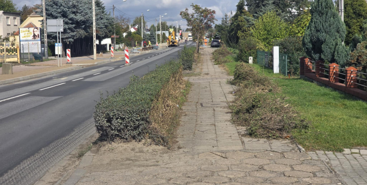 Żywopłoty przy ul. Poznańskiej w Gostyniu