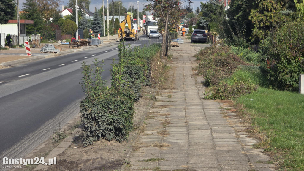 Żywopłoty przy ul. Poznańskiej w Gostyniu