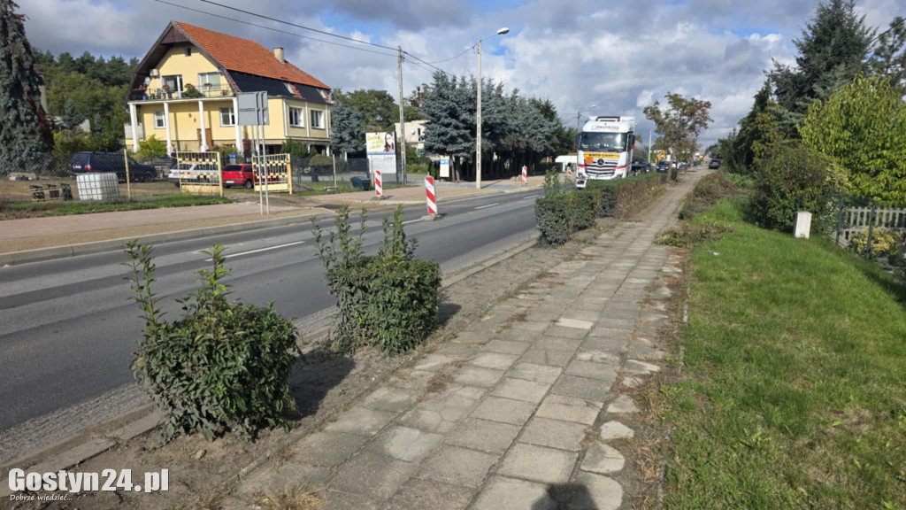 Żywopłoty przy ul. Poznańskiej w Gostyniu