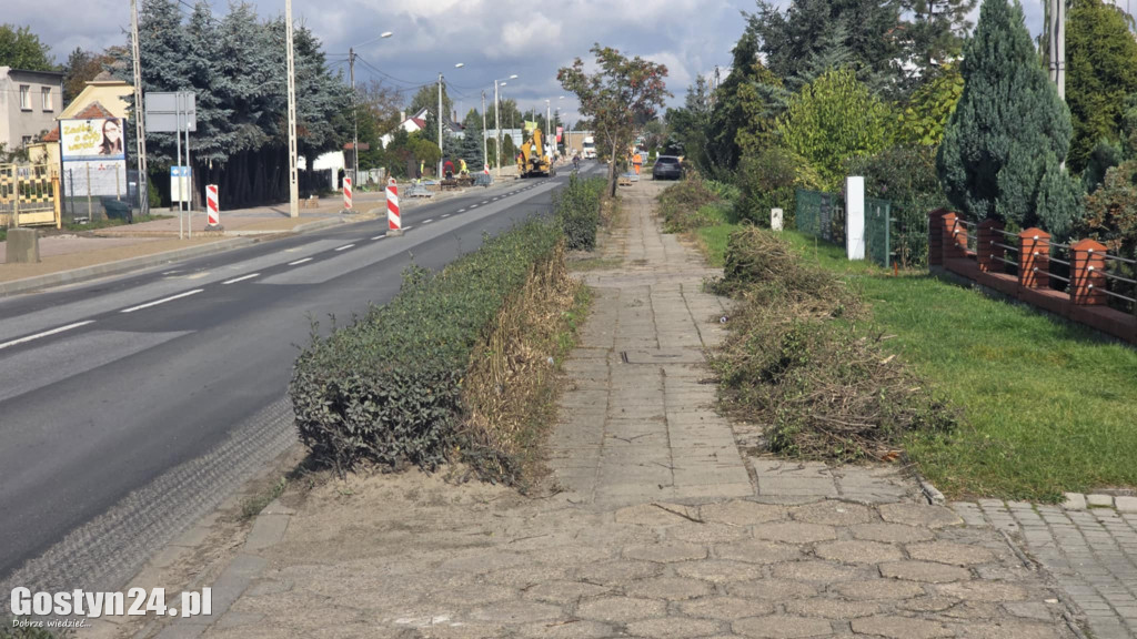Żywopłoty przy ul. Poznańskiej w Gostyniu
