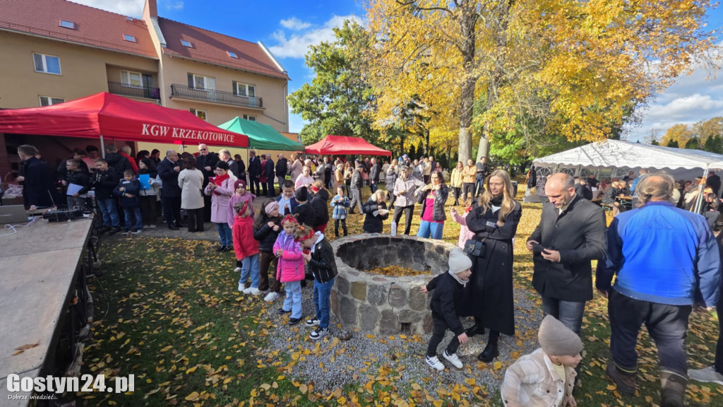 Odpust i parafialny piknik w Pępowie