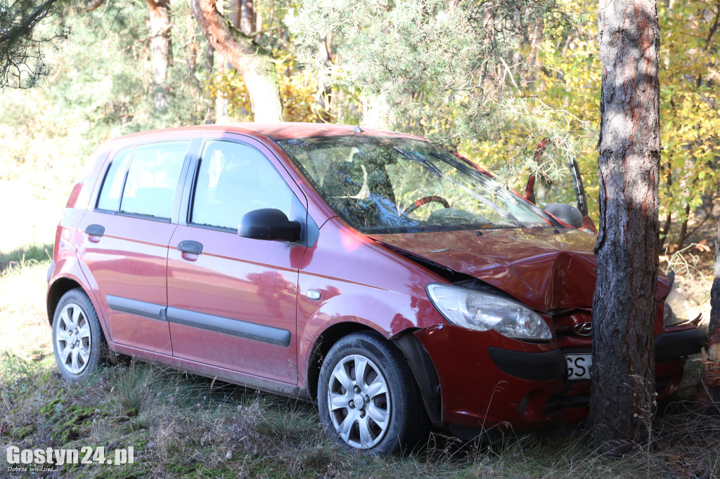 W Stankowie, samochód uderzył w drzewo