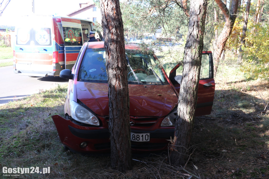 W Stankowie, samochód uderzył w drzewo