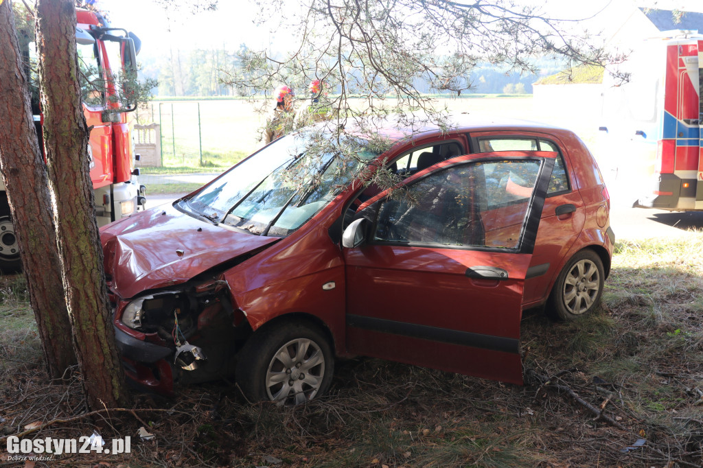 W Stankowie, samochód uderzył w drzewo