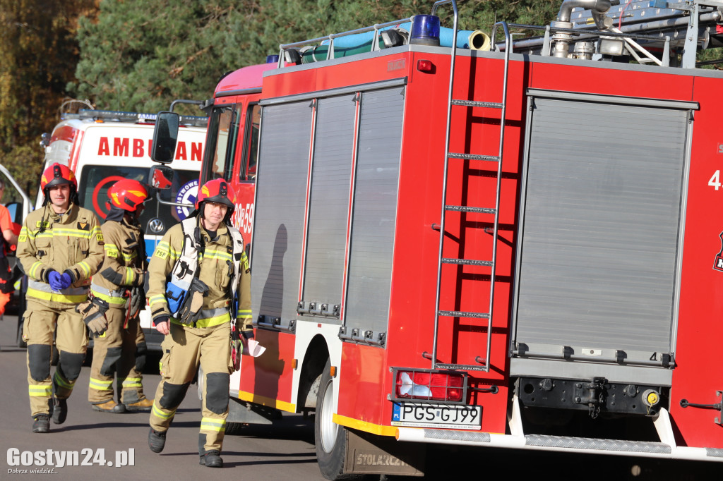 W Stankowie, samochód uderzył w drzewo