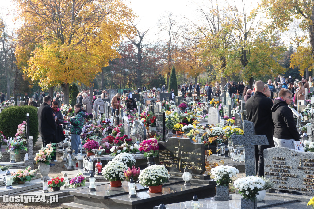 Dzień Wszystkich Świętych 2025 w Gostyniu