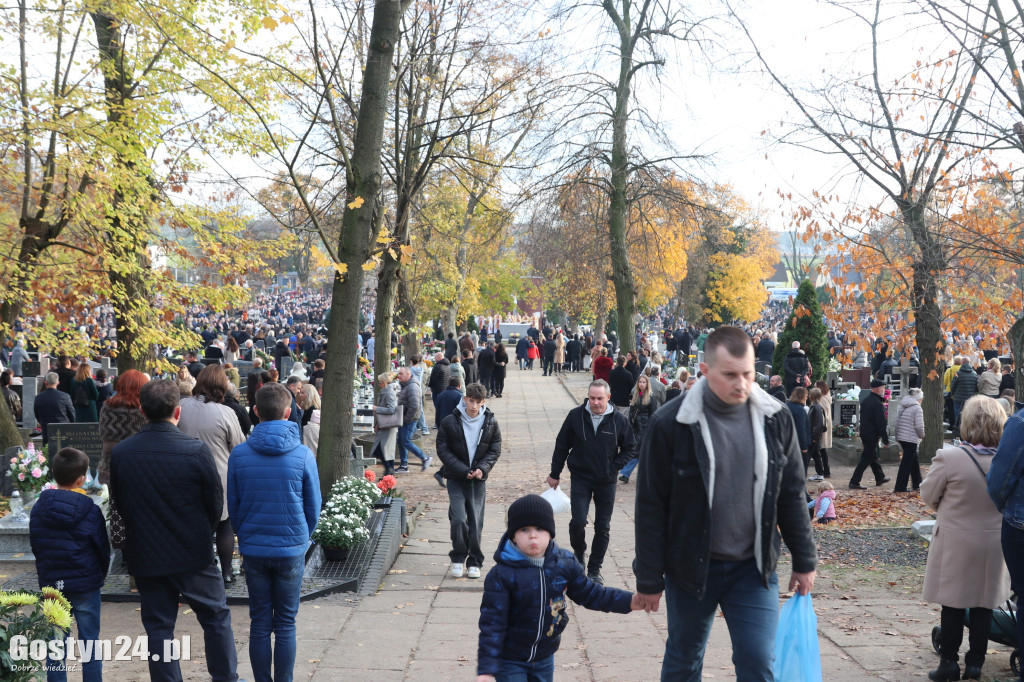 Dzień Wszystkich Świętych 2025 w Gostyniu