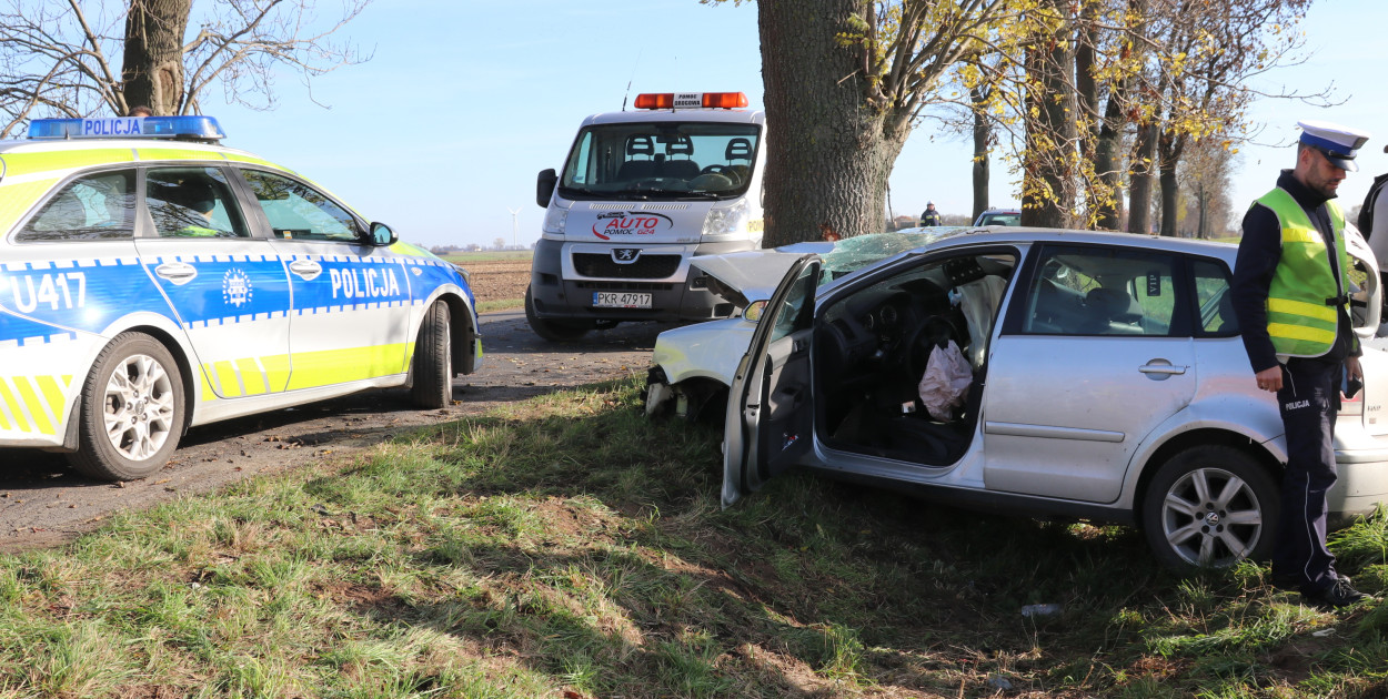 Na trasie Pogorzela - Wziąchów, auto uderzyło w drzewo