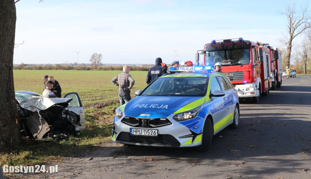 Na trasie Pogorzela - Wziąchów, auto uderzyło w drzewo