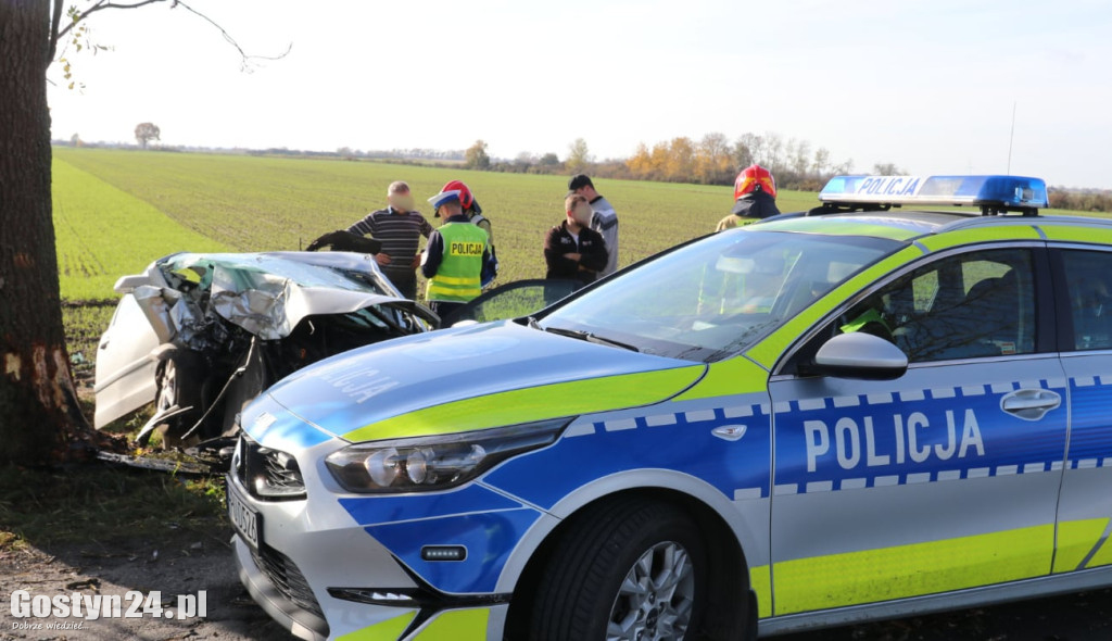 Na trasie Pogorzela - Wziąchów, auto uderzyło w drzewo