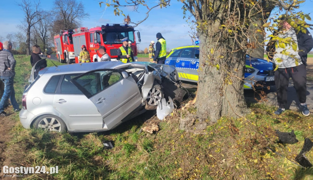 Na trasie Pogorzela - Wziąchów, auto uderzyło w drzewo