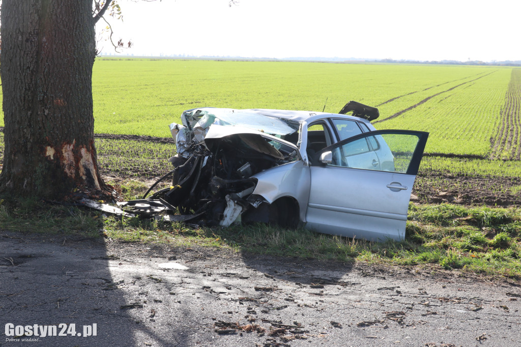 Na trasie Pogorzela - Wziąchów, auto uderzyło w drzewo