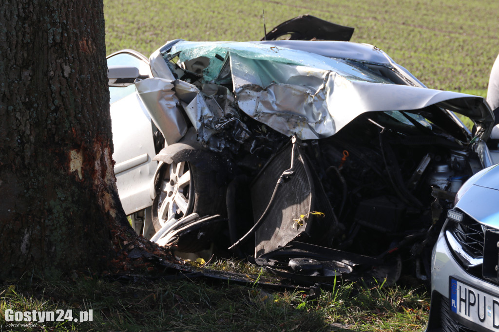 Na trasie Pogorzela - Wziąchów, auto uderzyło w drzewo
