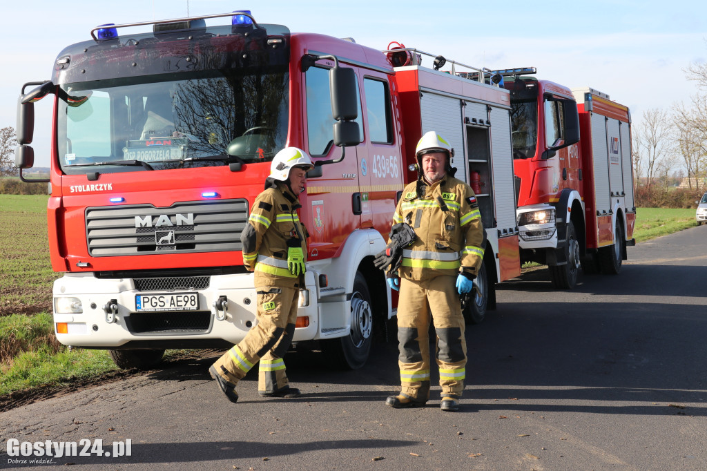 Na trasie Pogorzela - Wziąchów, auto uderzyło w drzewo