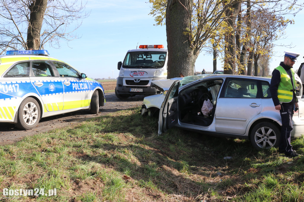 Na trasie Pogorzela - Wziąchów, auto uderzyło w drzewo