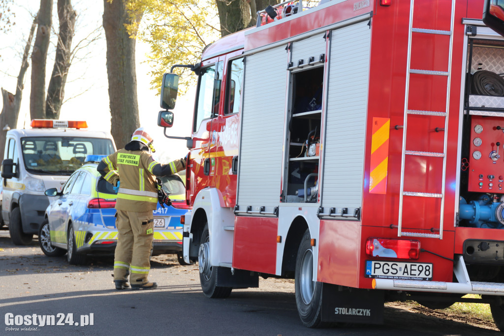 Na trasie Pogorzela - Wziąchów, auto uderzyło w drzewo