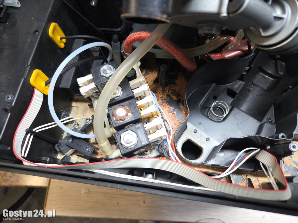 Złota Rączka, naprawa ekspresów do kaw