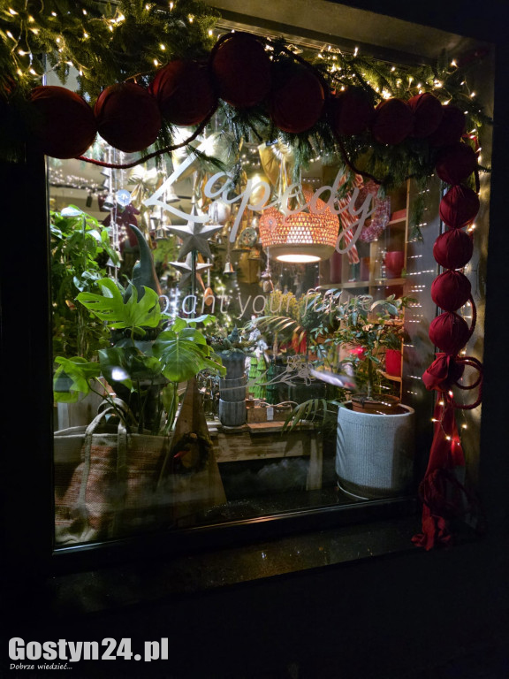 Kwiaciarnia Zapędy - Aleksandra Wiza