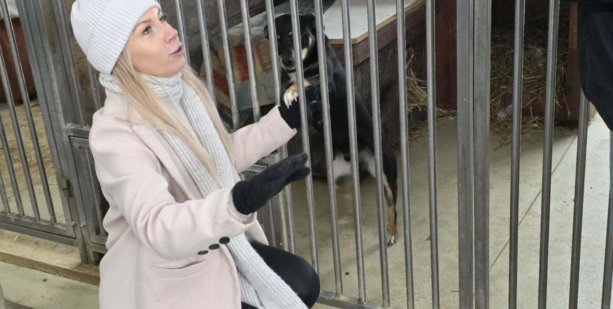 Mikołajkowy Dzień otwarty w schronisku w Dalabuszkach