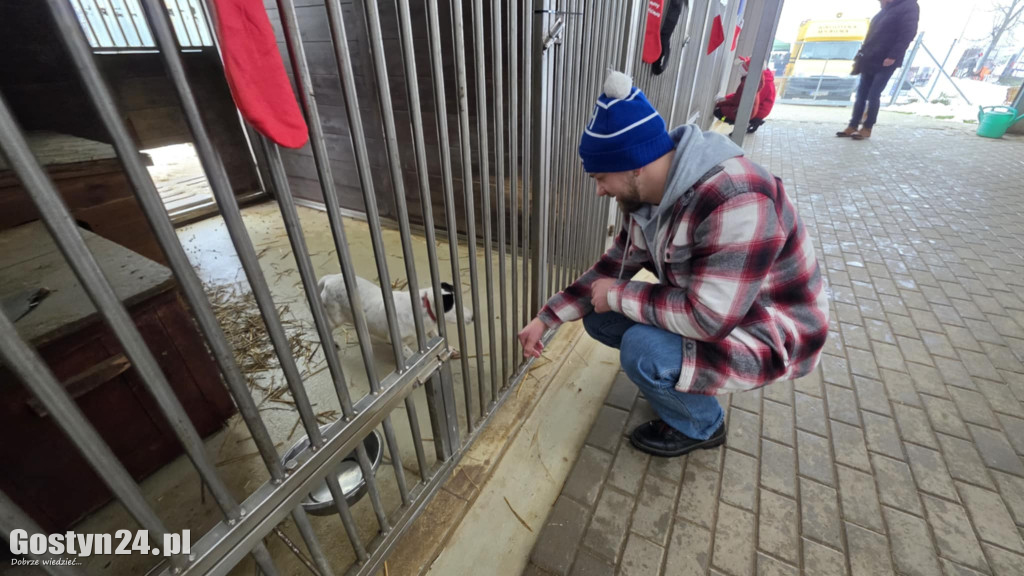 Mikołajkowy Dzień otwarty w schronisku w Dalabuszkach