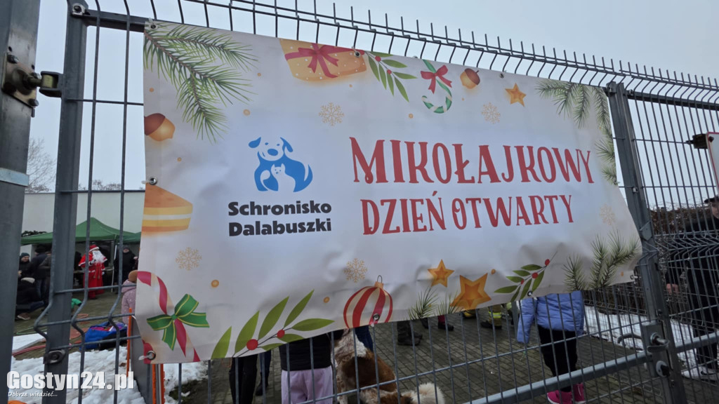 Mikołajkowy Dzień otwarty w schronisku w Dalabuszkach