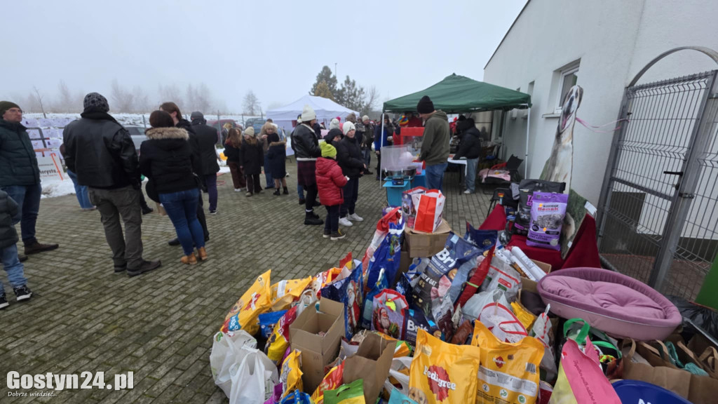 Mikołajkowy Dzień otwarty w schronisku w Dalabuszkach