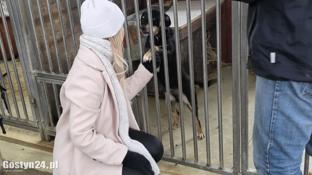 Mikołajkowy Dzień otwarty w schronisku w Dalabuszkach