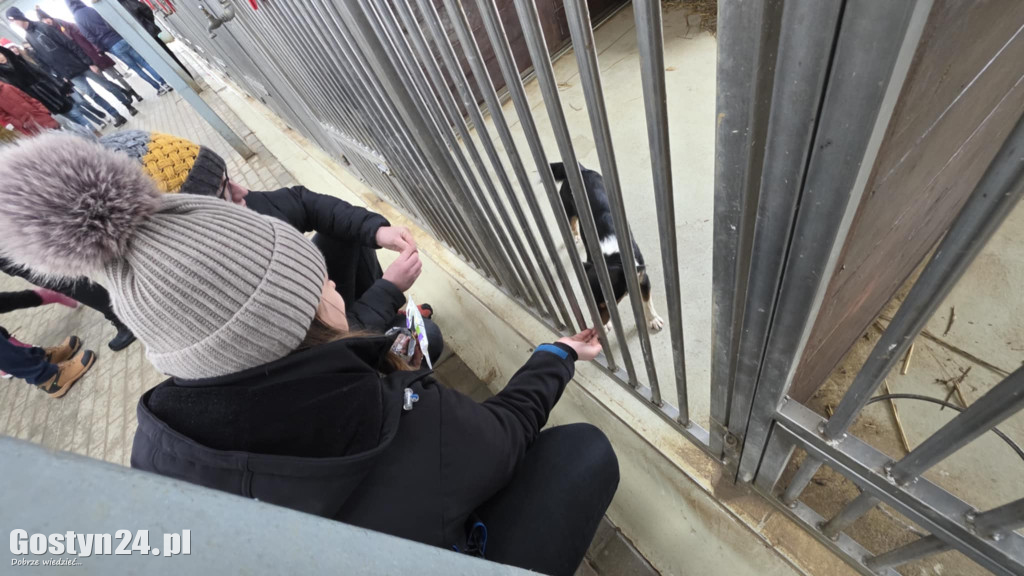 Mikołajkowy Dzień otwarty w schronisku w Dalabuszkach