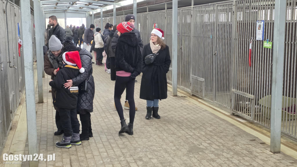 Mikołajkowy Dzień otwarty w schronisku w Dalabuszkach