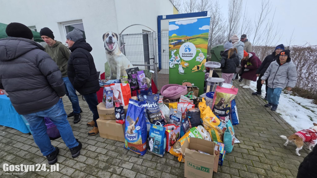 Mikołajkowy Dzień otwarty w schronisku w Dalabuszkach