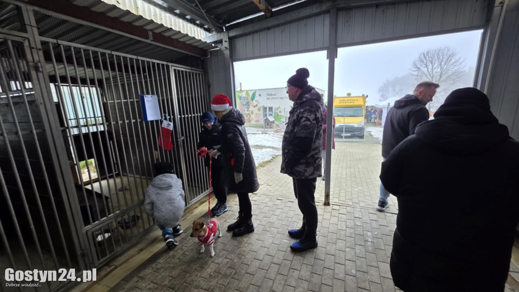 Mikołajkowy Dzień otwarty w schronisku w Dalabuszkach