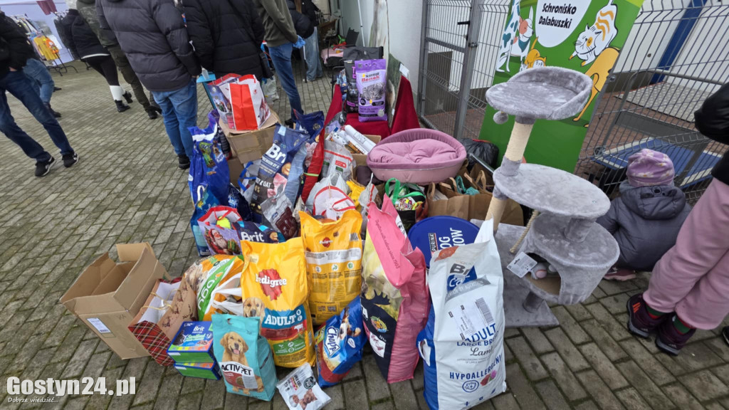 Mikołajkowy Dzień otwarty w schronisku w Dalabuszkach