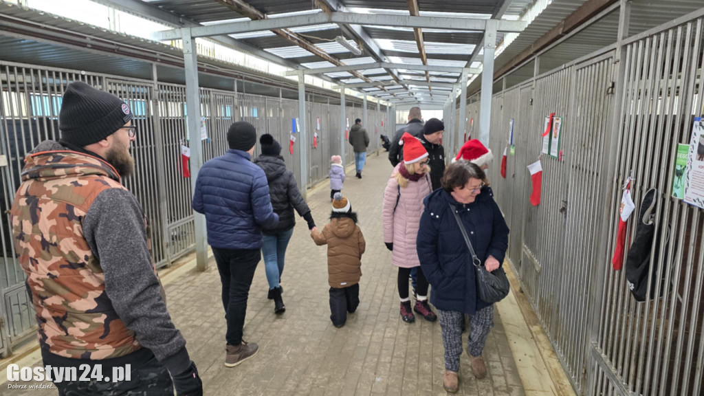 Mikołajkowy Dzień otwarty w schronisku w Dalabuszkach