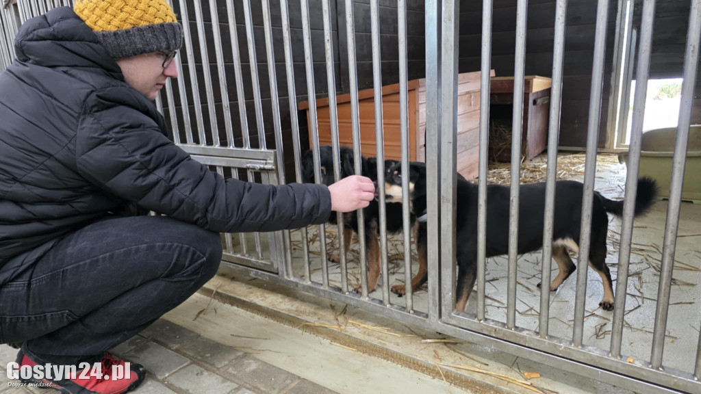 Mikołajkowy Dzień otwarty w schronisku w Dalabuszkach