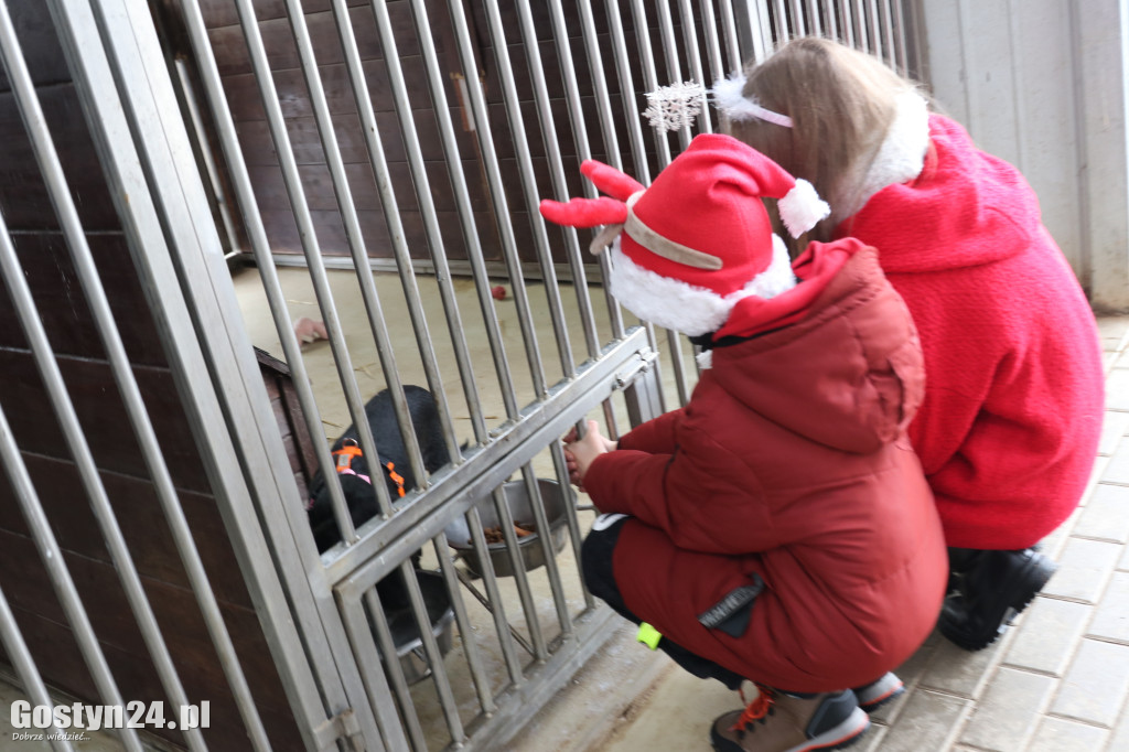 Mikołajkowy Dzień otwarty w schronisku w Dalabuszkach