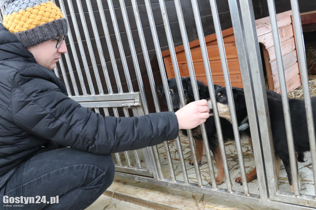 Mikołajkowy Dzień otwarty w schronisku w Dalabuszkach