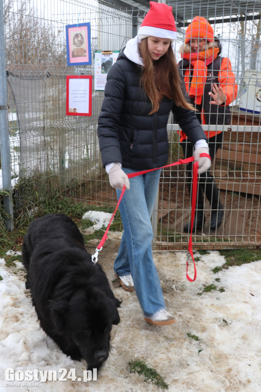 Mikołajkowy Dzień otwarty w schronisku w Dalabuszkach