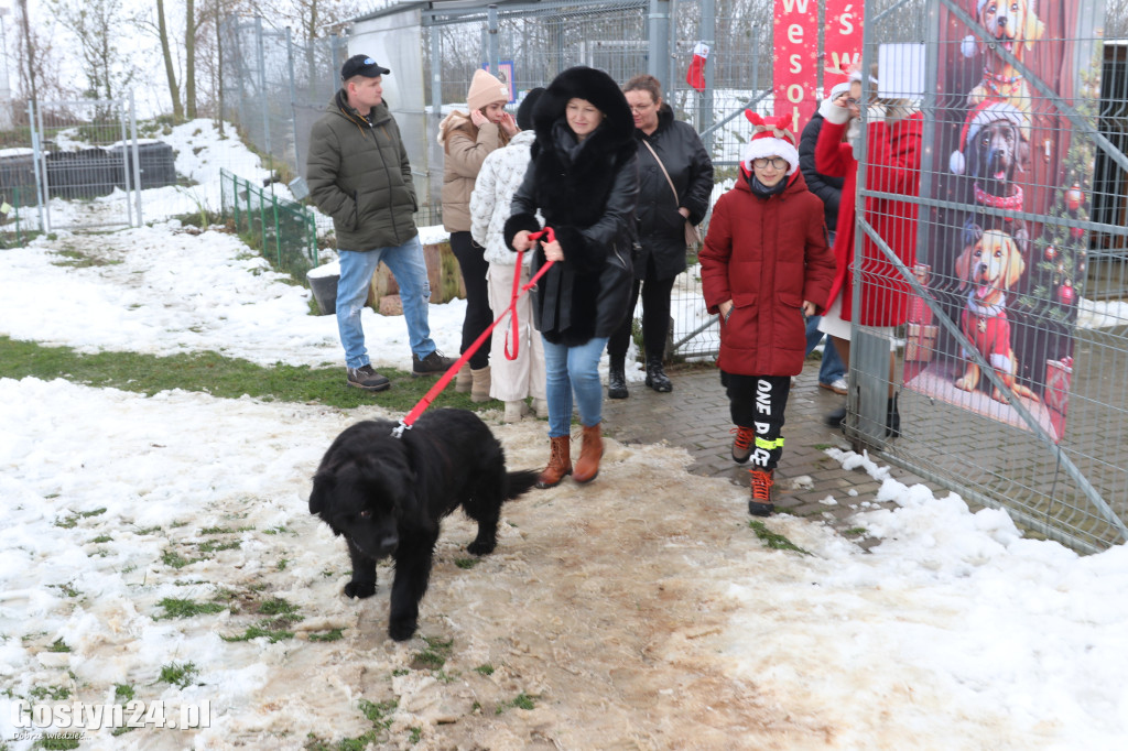 Mikołajkowy Dzień otwarty w schronisku w Dalabuszkach