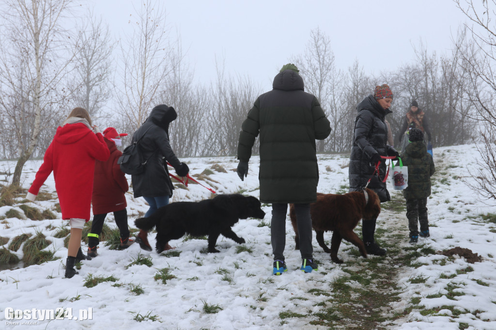 Mikołajkowy Dzień otwarty w schronisku w Dalabuszkach