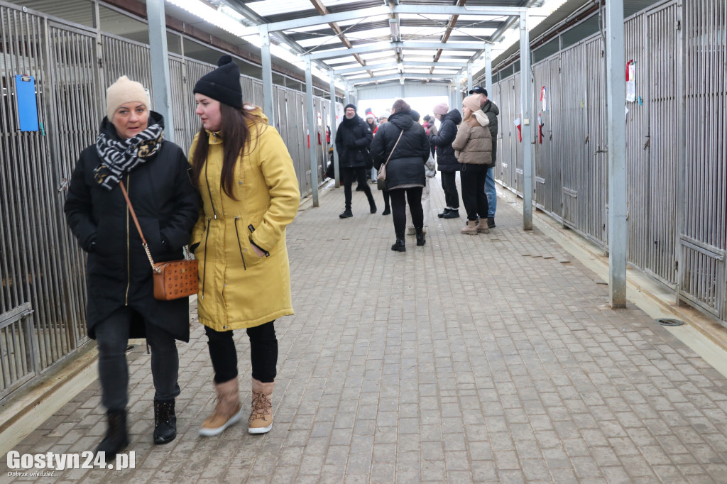 Mikołajkowy Dzień otwarty w schronisku w Dalabuszkach