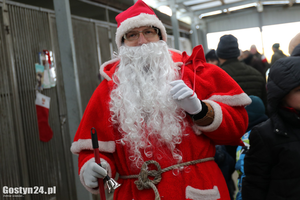 Mikołajkowy Dzień otwarty w schronisku w Dalabuszkach