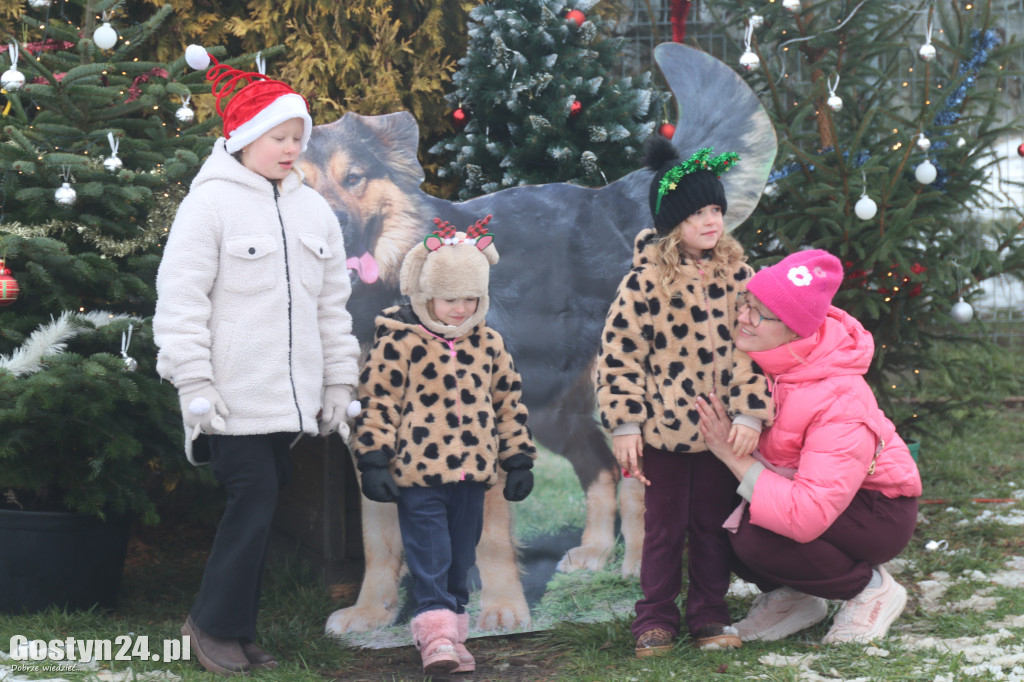 Mikołajkowy Dzień otwarty w schronisku w Dalabuszkach