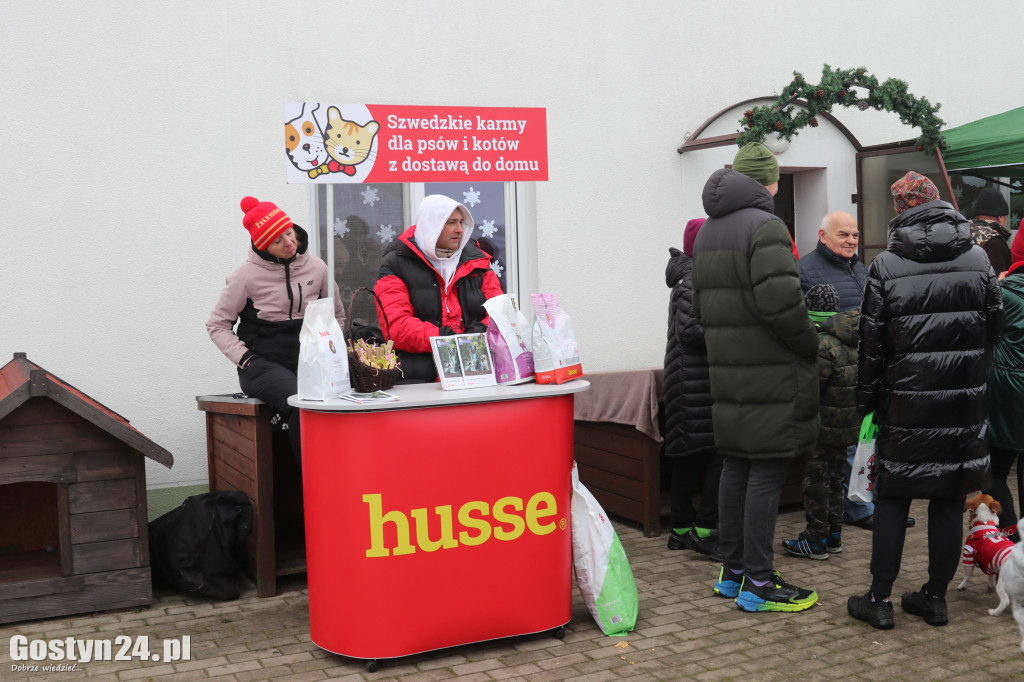 Mikołajkowy Dzień otwarty w schronisku w Dalabuszkach